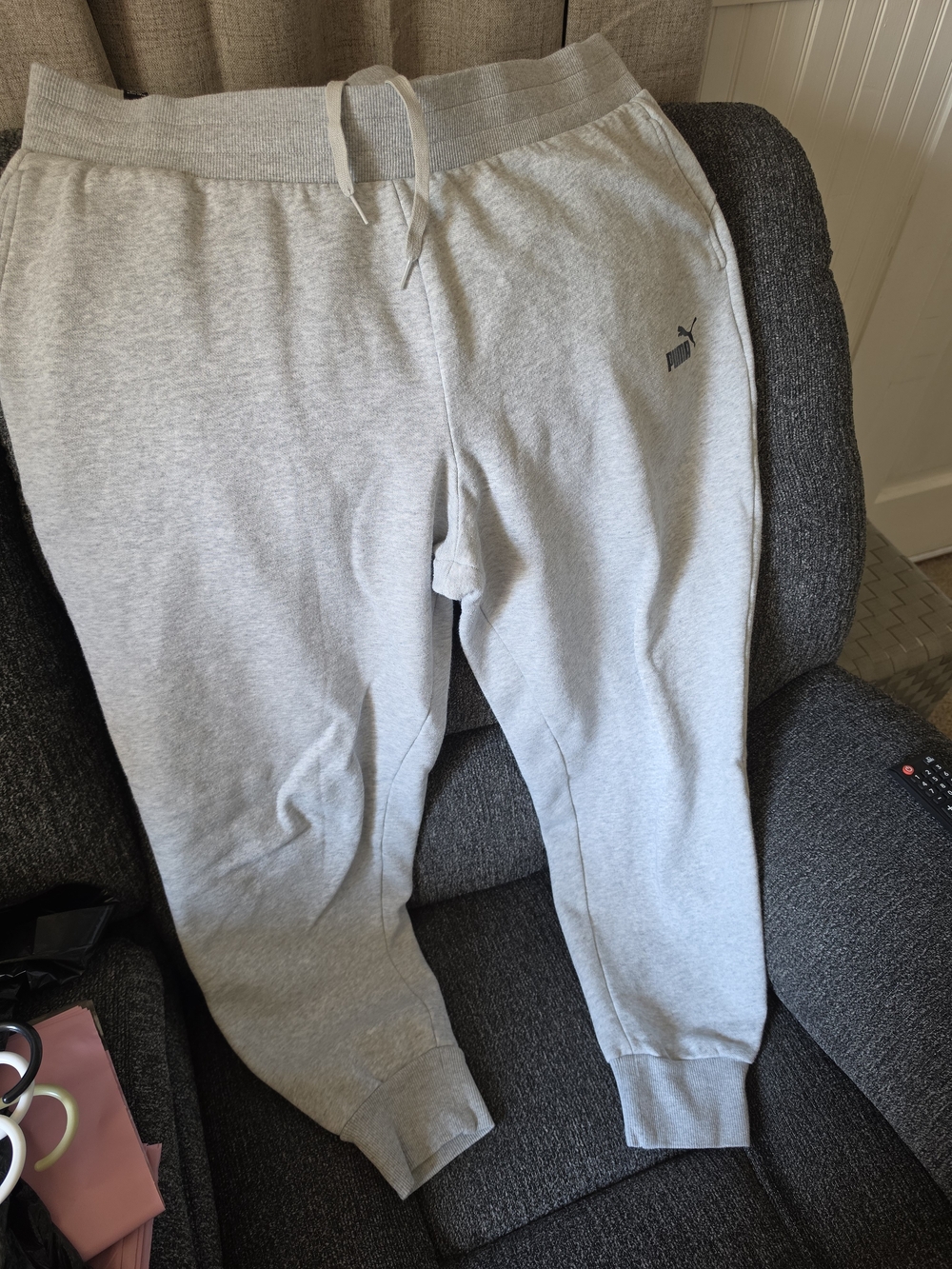 Puma Light Gray Kids Fleece Joggers